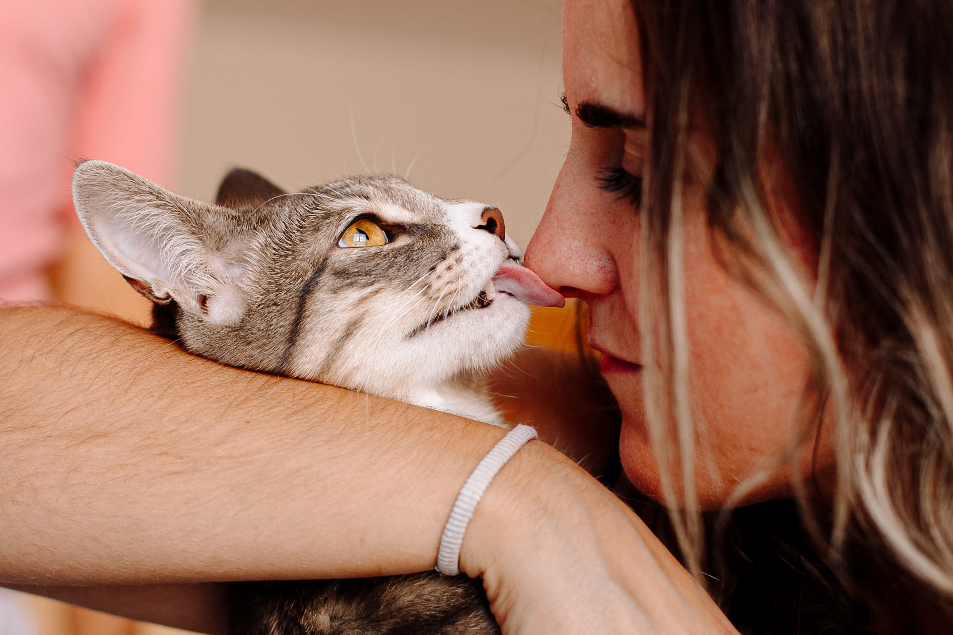 sesion fotos perro gato barcelona 184138