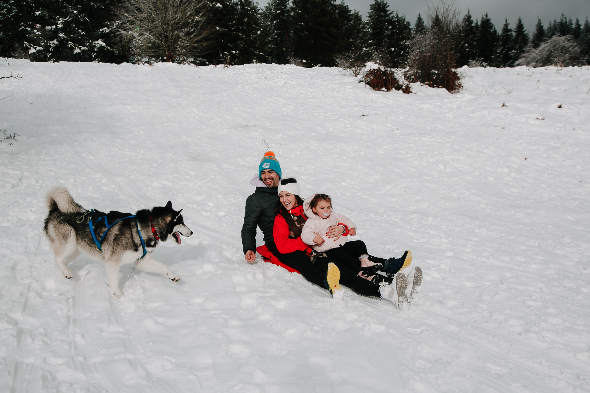 fotos familia nieve reportaje infantil